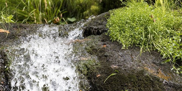 Die Qualität des Trinkwassers werde direkt durch die Bewirtschaftung des Bodens im Zuströmbereich der Fassung geprägt, schreibt Roberto Zanetti in seiner Motion. Daher müssten mehr Zusträmbereiche ausgeschieden und mit angepasster (landwirtschaftlicher) Nutzung geschützt werden. (Symbolbild Herm / Pixabay)