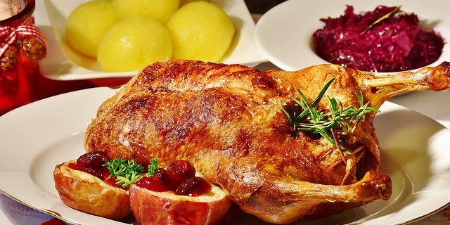 Vier Pfoten will den Import von Stopfmastprodukten verbieten. (Bild pixabay)