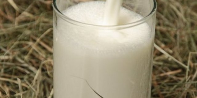 Biomilchproduktion könnte ab diesem Monat attraktiver werden. (Fotolia)