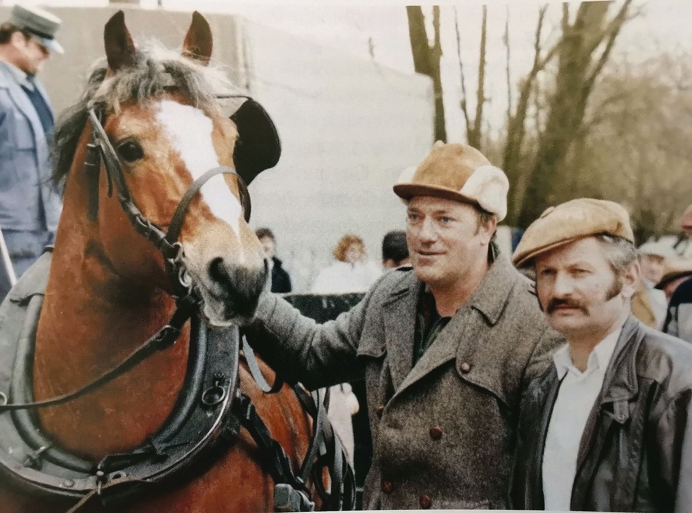 Drei Bekannte an der Ausdauerprüfung in Avenches: Der Freibergerhengst Hulax neben seinem Fahrer Jean-Claude Frossard, Les Pommerats JU, und Ruedi Bühler, Bellelay BE.  (Bild Michel Lambert)