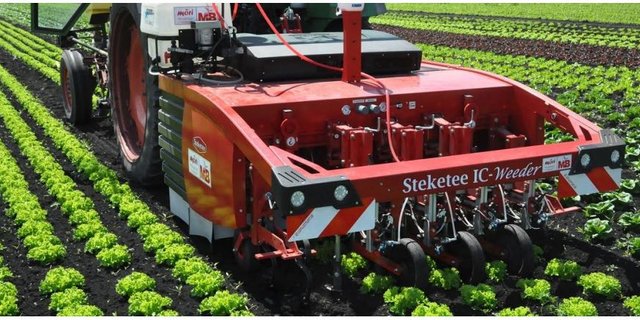 Beim Projekt wurde ein weiterentwickelter Prototyp des Steketee IC Weeders getestet. (Bild VSKP)