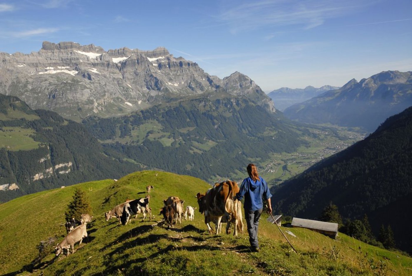 Mittelstaffel der Alp Bodmen/Saasberg in Glarus Süd: Dieses Bild ziert die Titelseite des Glarner Alpbuchs. (Bild: Glarner Alpbuch/Peter Donatsch)