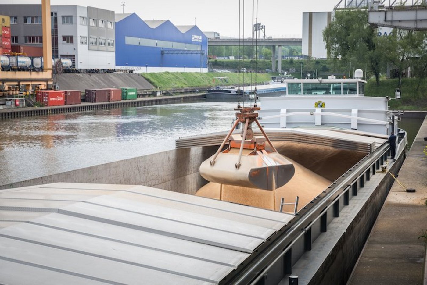 Man wolle die Kompetenzen des Soja Netzwerks nutzen, um künftig stetig mehr Futtermittelkomponenten nachhaltig zu beschaffen. (Bild Soja Netzwerk)