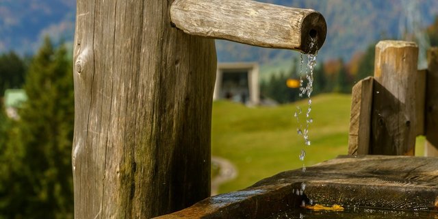 Brunnen sind zum Tränken da, nicht zum Baden. Menschen, Haus- und Nutztiere müssen das kühle Nass teilen. (Bild Pixabay)