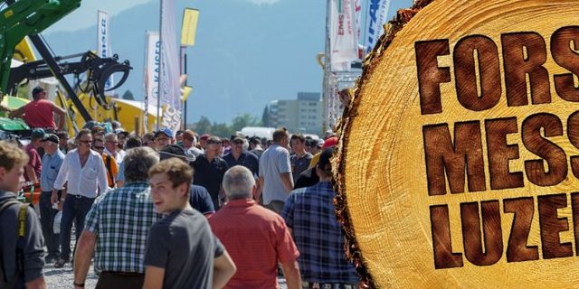 Am 15. bis 18. August ist es wieder soweit: Die Forstmesse in Luzern bietet für Interessierte und Profis allerhand Darbietungen rund um das Thema Holz. (Bild zVg)