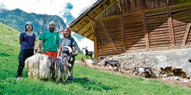 Anna Rösti (rechts) züchtet gemeinsam mit Jakob Reber Ziegen alter Schweizer Rassen im eigenen Ziegenzuchtverein «Am Niesen». Unterstützt wird ihre Arbeit von ihrer Tochter Gabriela (links). (Bild Lisa McKenna)