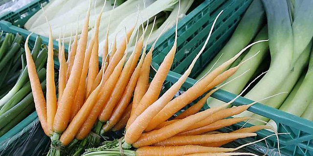 Der Abbau des Grenzschutzes stelle für die Schweizer Gemüseproduktion eine existenzielle Bedrohung dar, so der VSGP. (Bild lid)