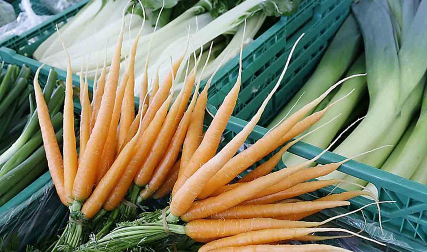 Der Abbau des Grenzschutzes stelle für die Schweizer Gemüseproduktion eine existenzielle Bedrohung dar, so der VSGP. (Bild lid)