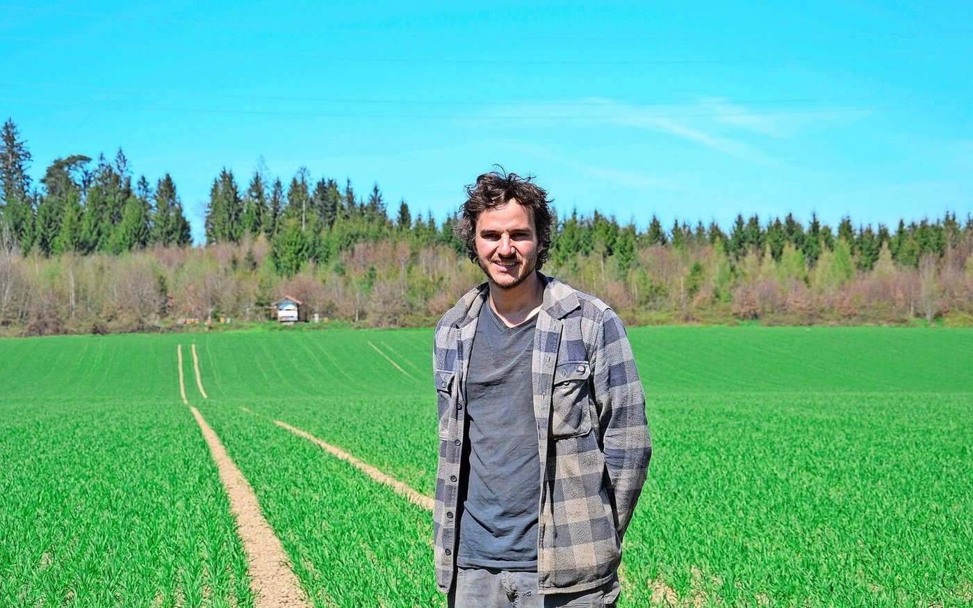 Stefan Hubacher steht Anfang April in einem Weizenfeld der BG Hubacher/Messer. Hier wächst eine IP-Suisse-Sortenmischung aus Diavel und Caminada, die kürzlich gestriegelt worden ist. 