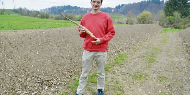 Ortwin Schönholzer mit einer gelagerten Yamswurzel. (Bild Alexandra Stückelberger)