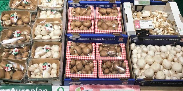 Die Coop-Regale enthalten neu nur noch Schweizer Kulturpilze. (Bild VSP)