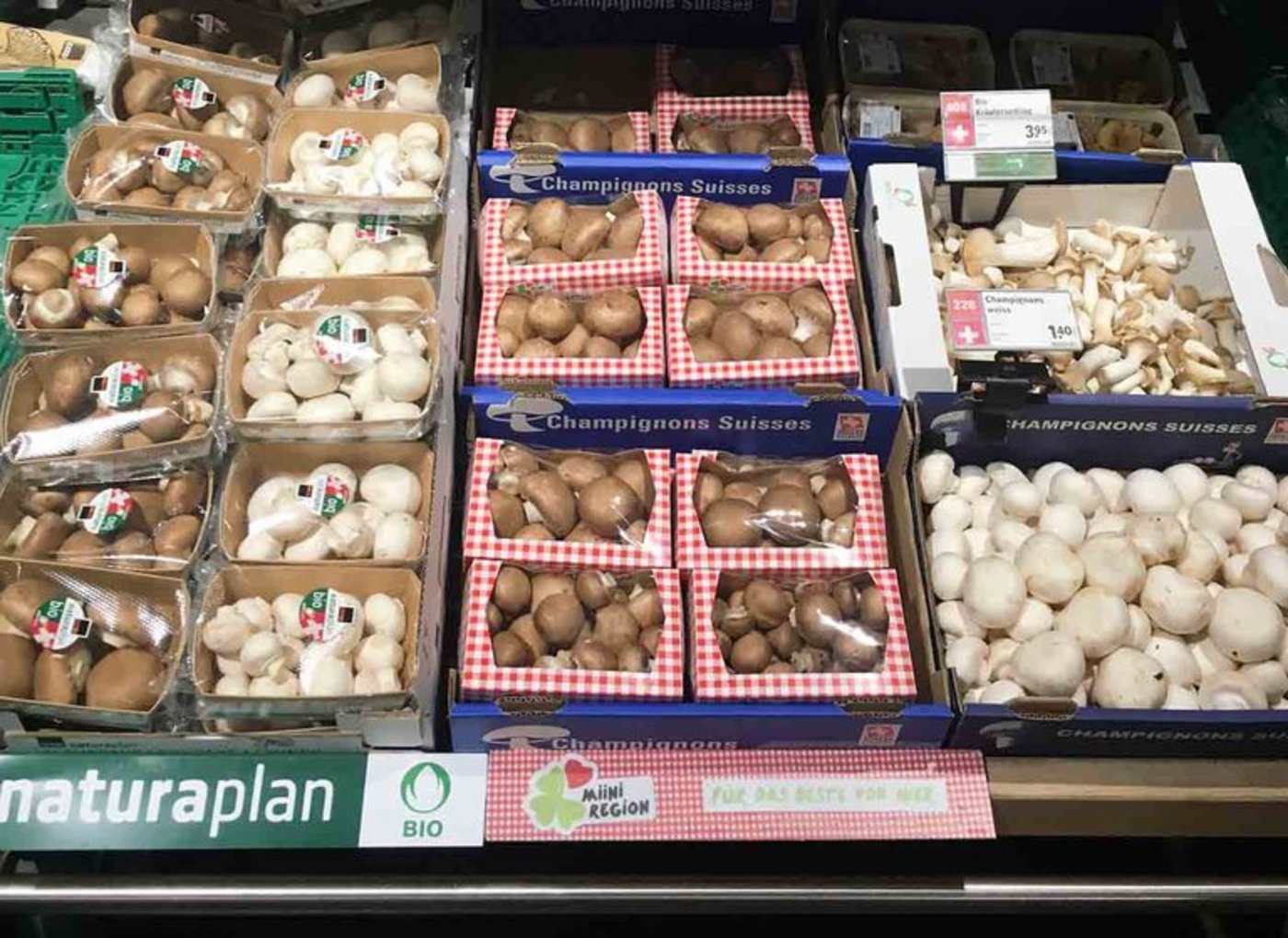Die Coop-Regale enthalten neu nur noch Schweizer Kulturpilze. (Bild VSP)