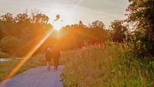 Zu zweit durchs Lebe Zu zweit durchs Leben zu gehen, ist ein Wunsch, den viele Menschen hegen. Doch um wirklich das passende Gegenstück zu finden, sind viele aufs Internet angewiesen.