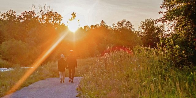 Zu zweit durchs Leben zu gehen, ist ein Wunsch, den viele Menschen hegen. Doch um wirklich das passende Gegenstück zu finden, sind viele aufs Internet angewiesen.