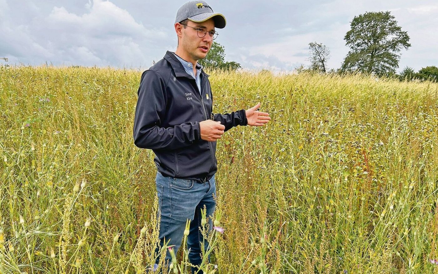 Simon Küng ist Bereichsleiter Biodiversität und steht in einer Buntbrache. Das sei der schwierigste BFF-Typ und darum für Einsteiger nicht unbedingt geeignet.