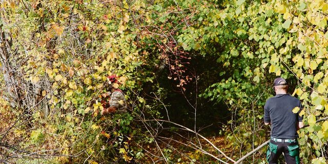 Bild links: Nach dem Schnitt der Hecke soll der Wiesenweg mit dem Transporter befahrbar sein. Mitte: Wenn die Säge nicht zuunterst angesetzt wird, bleibt Totholz stehen. Rechts: Christian Malär erklärt, worauf bei der Heckenpflege zu achten ist. (Bild Vrena Crameri-Daeppen)