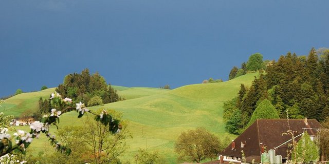 SBLV fordert im Gegenzug auch, dass die Lohngleichheit Tatsache wird. (Bild Stefanie Thomann/ landwirtschaft.ch)