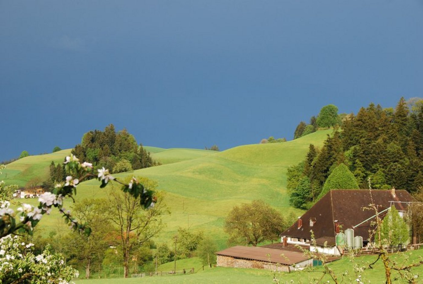 SBLV fordert im Gegenzug auch, dass die Lohngleichheit Tatsache wird. (Bild Stefanie Thomann/ landwirtschaft.ch)