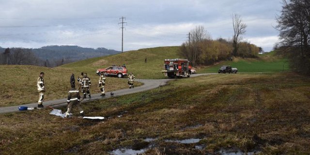 Die Gülle sickerte ins Erdreich eines Naturschutzgebietes. (Bild www.polizei-schweiz.ch)