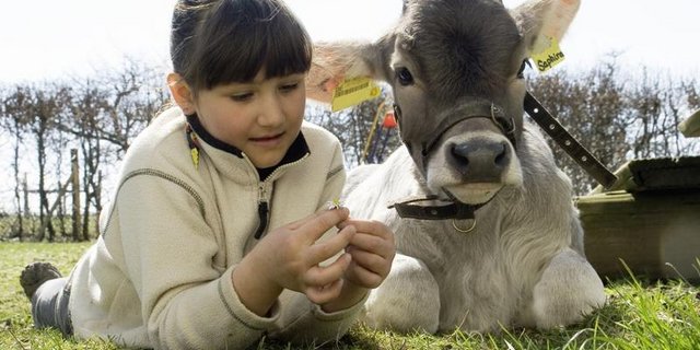 Auf dem Hof Schleinsee gibt es ein grosses agrotouristisches Angebot. (Bild Hof Schleinsee)