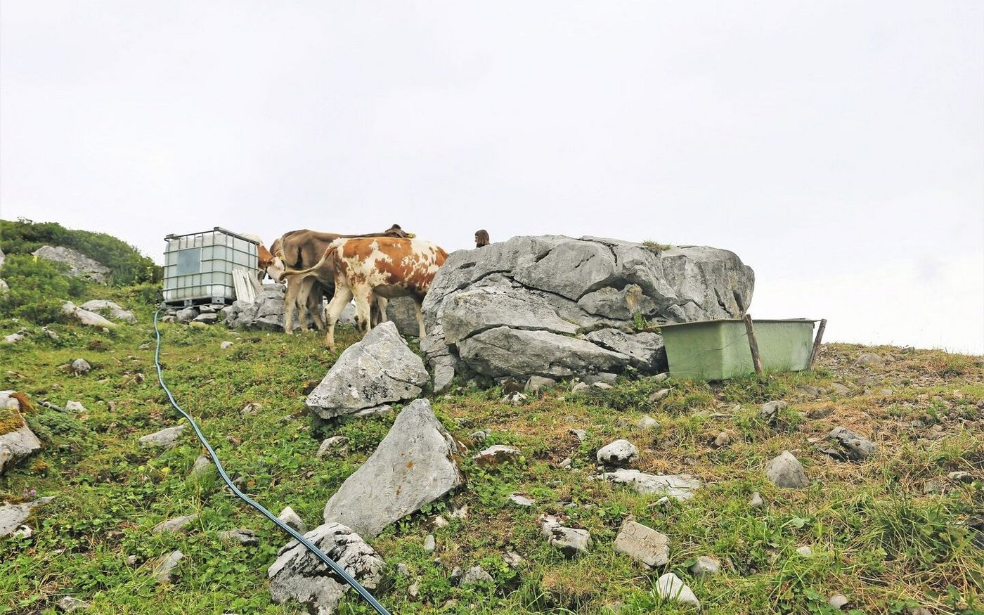 Die Wasserversorgung auf den Alpen ist durch die Trockenheit anspruchsvoll geworden.