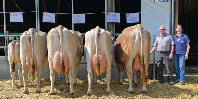 Xaver Dober erzielte mit den Nachkommen von Glenn Gladiola ausgezeichnete 91 Punkte und damit das kantonal beste Ergebnis.  (Bild Braunvieh Schweiz)