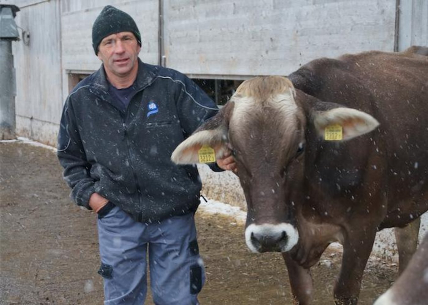 Landwirt TDer Landwirt Toni Huber sagt, dass man sich trauen müsse, abzuwarten und nicht sofort den Tierarzt rufen muss. (Bild Deborah Rentsch)