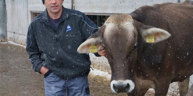 Landwirt TDer Landwirt Toni Huber sagt, dass man sich trauen müsse, abzuwarten und nicht sofort den Tierarzt rufen muss. (Bild Deborah Rentsch)