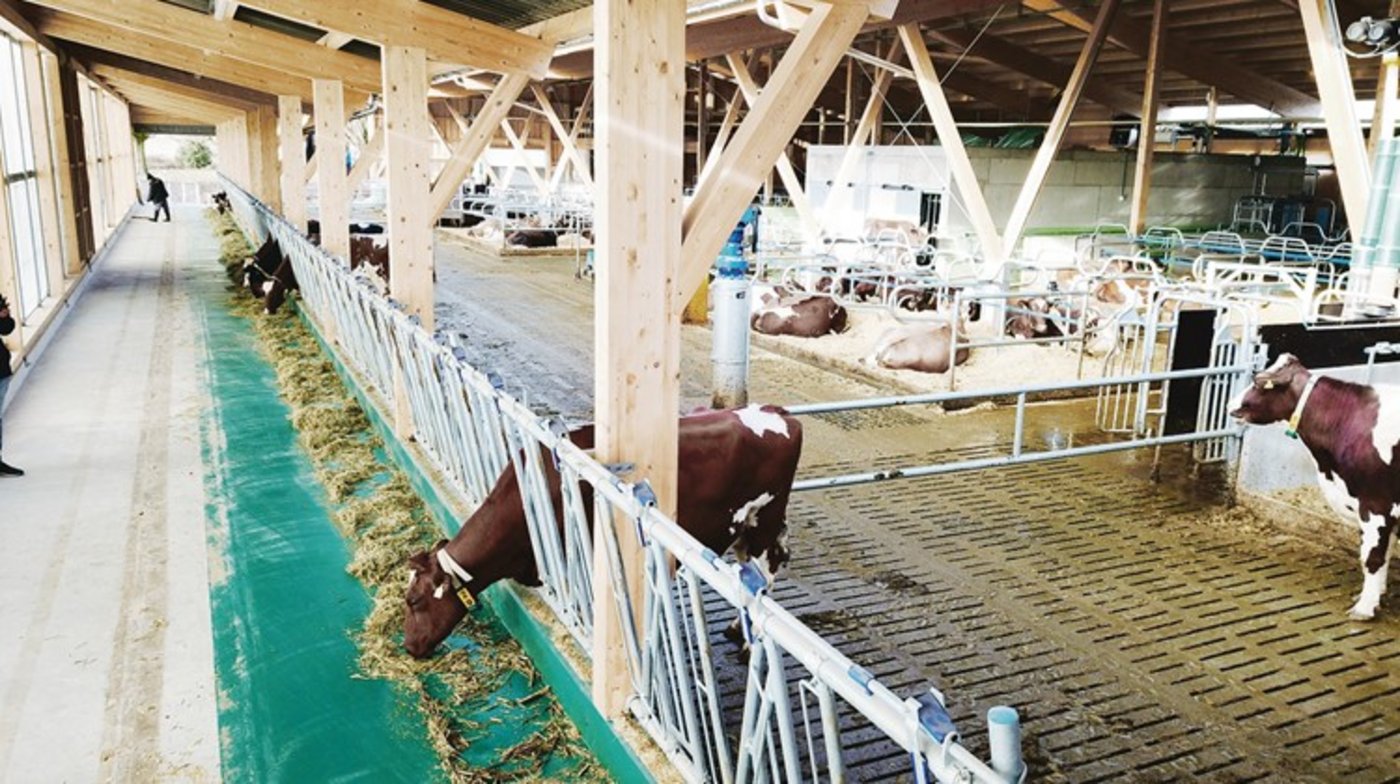 Am Wochenende vom 4. und 5. Mai kann man den neuen Stall bestaunen. (Bild zVg)