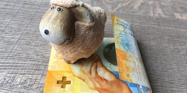 2021 wird es auch mehr finanzielle Unterstützung für die Sömmerung, bzw. den Herdenschutz geben. (Symbolbild jsc)