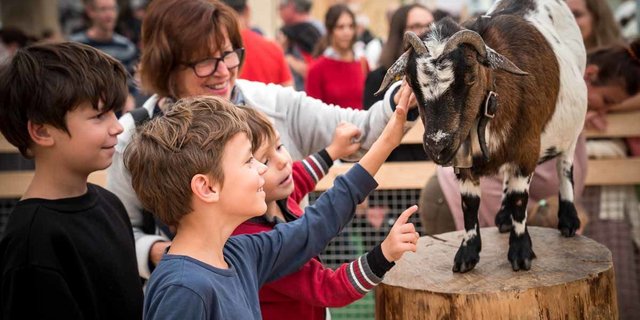 Ob auch in diesem Jahr noch eine Olma in St.Gallen durchgeführt werden kann, ist noch unbekannt. (Bild olma-messen.ch)