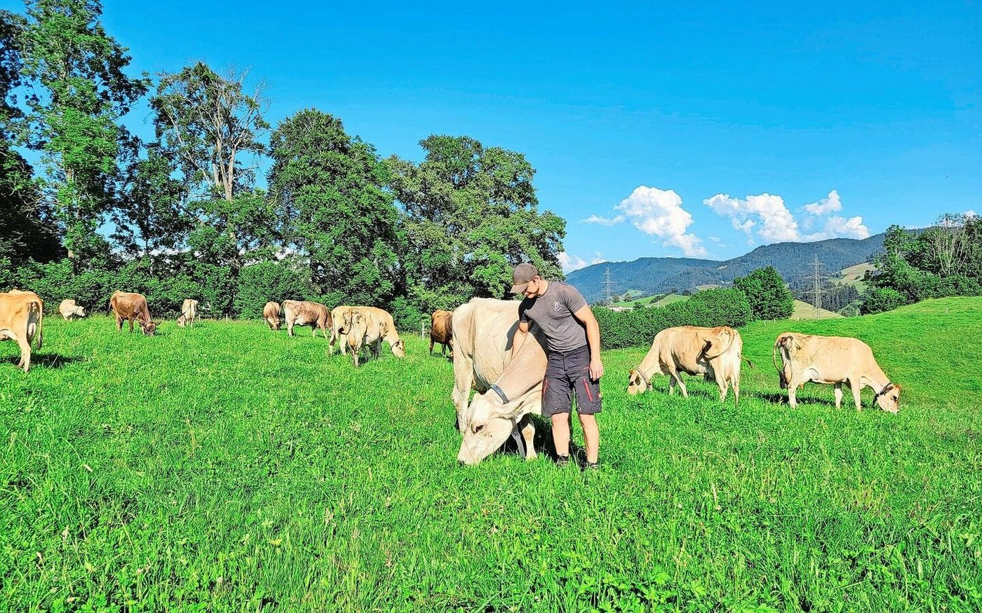 Landwirt Johannes Röllin mit seiner Lieblingskuh Annabell auf der Weide. Hier fühlt sich die Braunviehkuh am wohlsten.  