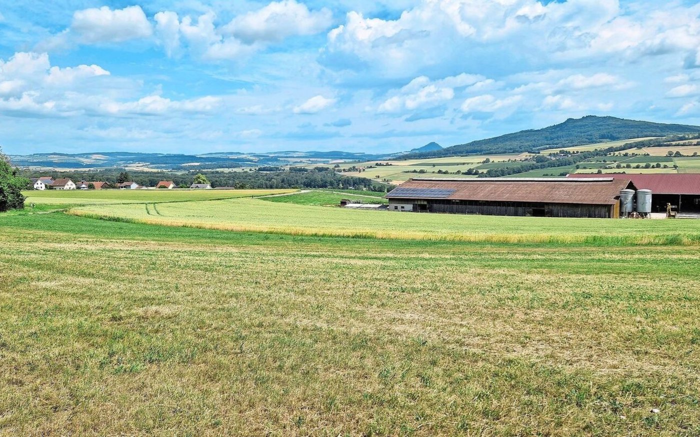 Winzelers Betrieb liegt am Rand von Barzheim, nur wenige hundert Meter von der Deutschen Grenze entfernt. 
