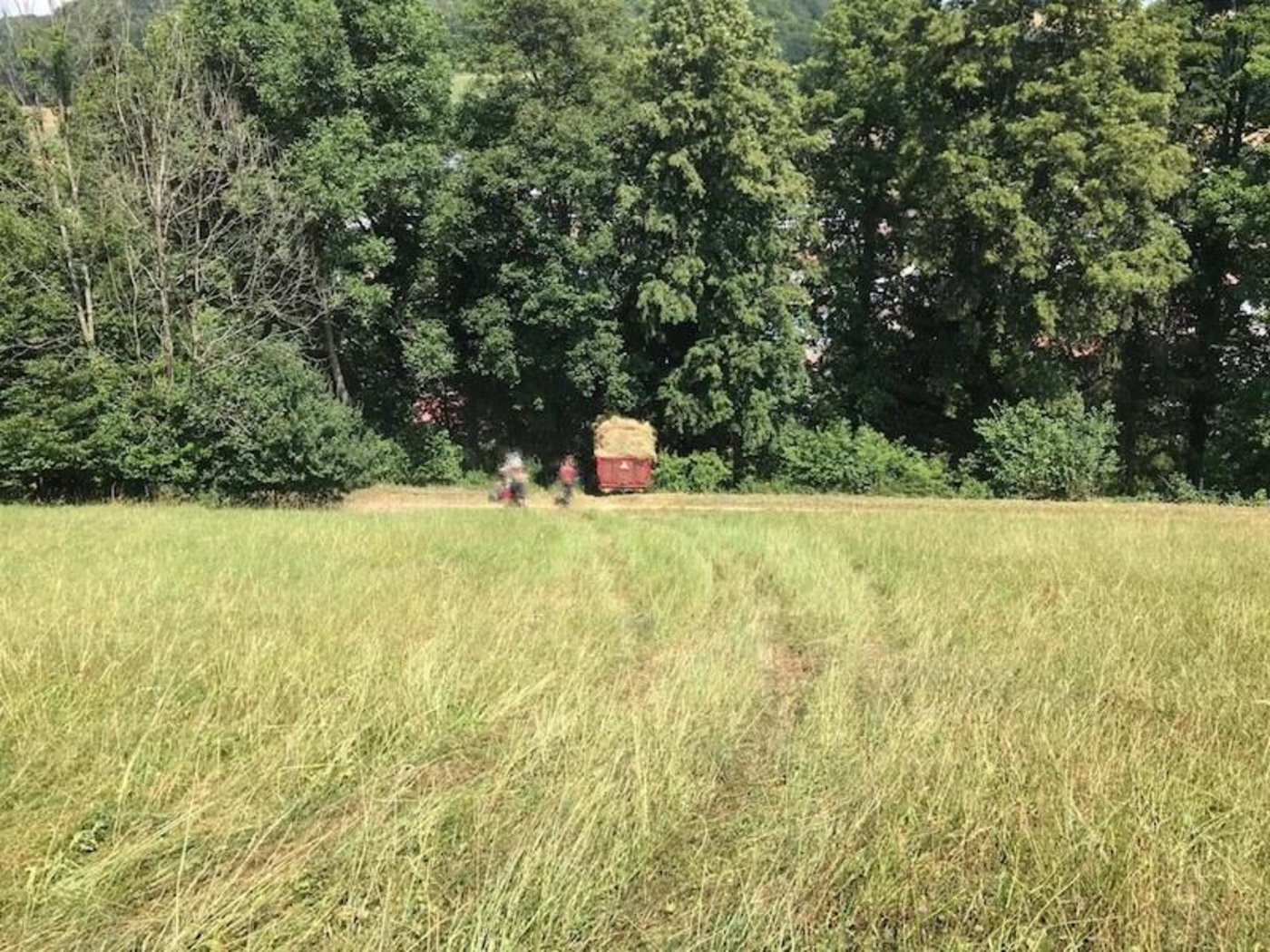 Aus noch ungeklärten Gründen verlor der Lenker die Herrschaft über sein Fahrzeug. (Bilder Polizei BL)