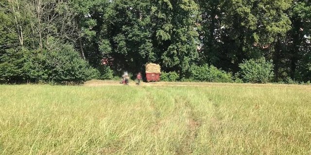 Aus noch ungeklärten Gründen verlor der Lenker die Herrschaft über sein Fahrzeug. (Bilder Polizei BL)