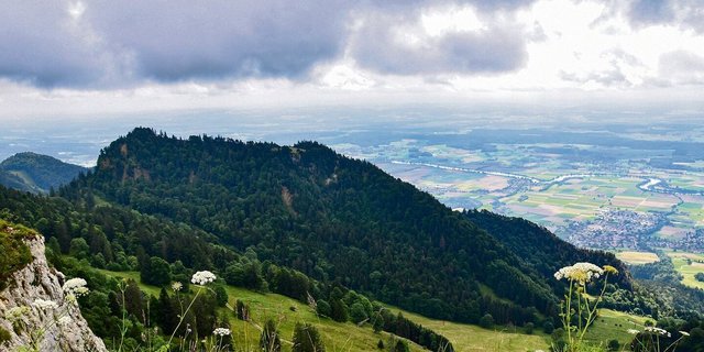 Der Wald hat im Kanton Solothurn stark zugenommen.