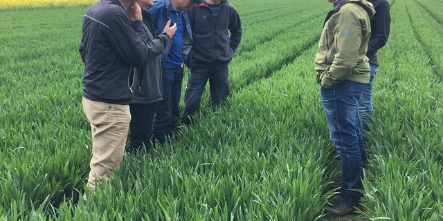 Die Projektpartner tauschen sich über die Nistgassen, welche der Feldlerche verbesserte Brutmöglichkeiten bieten sollen, aus. (Bild lko)