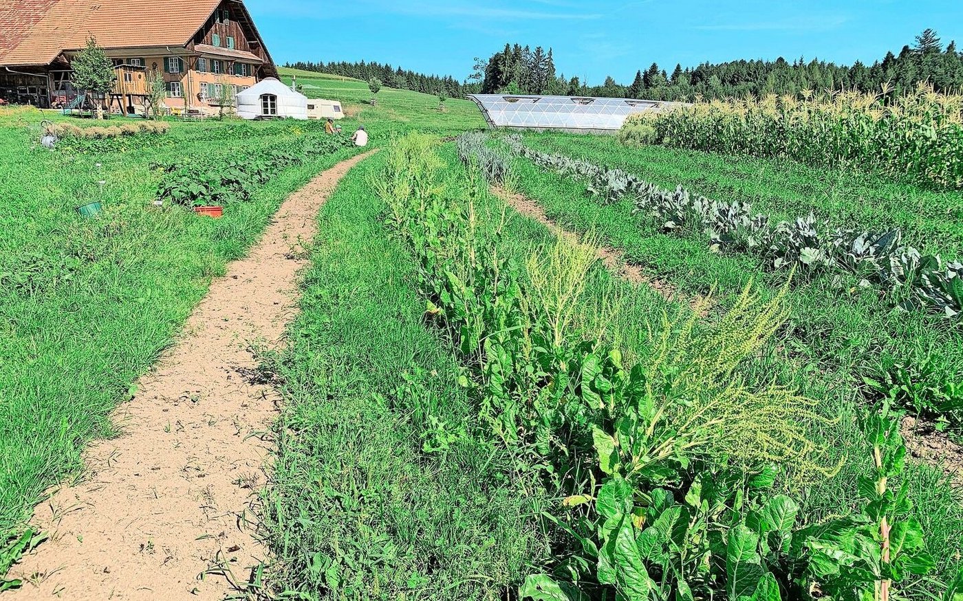 Auf dem Katzhof in Richenthal wurde die Kulturlandschaft neu gestaltet, um das Wasser zu lenken und optimal zu nutzen. 