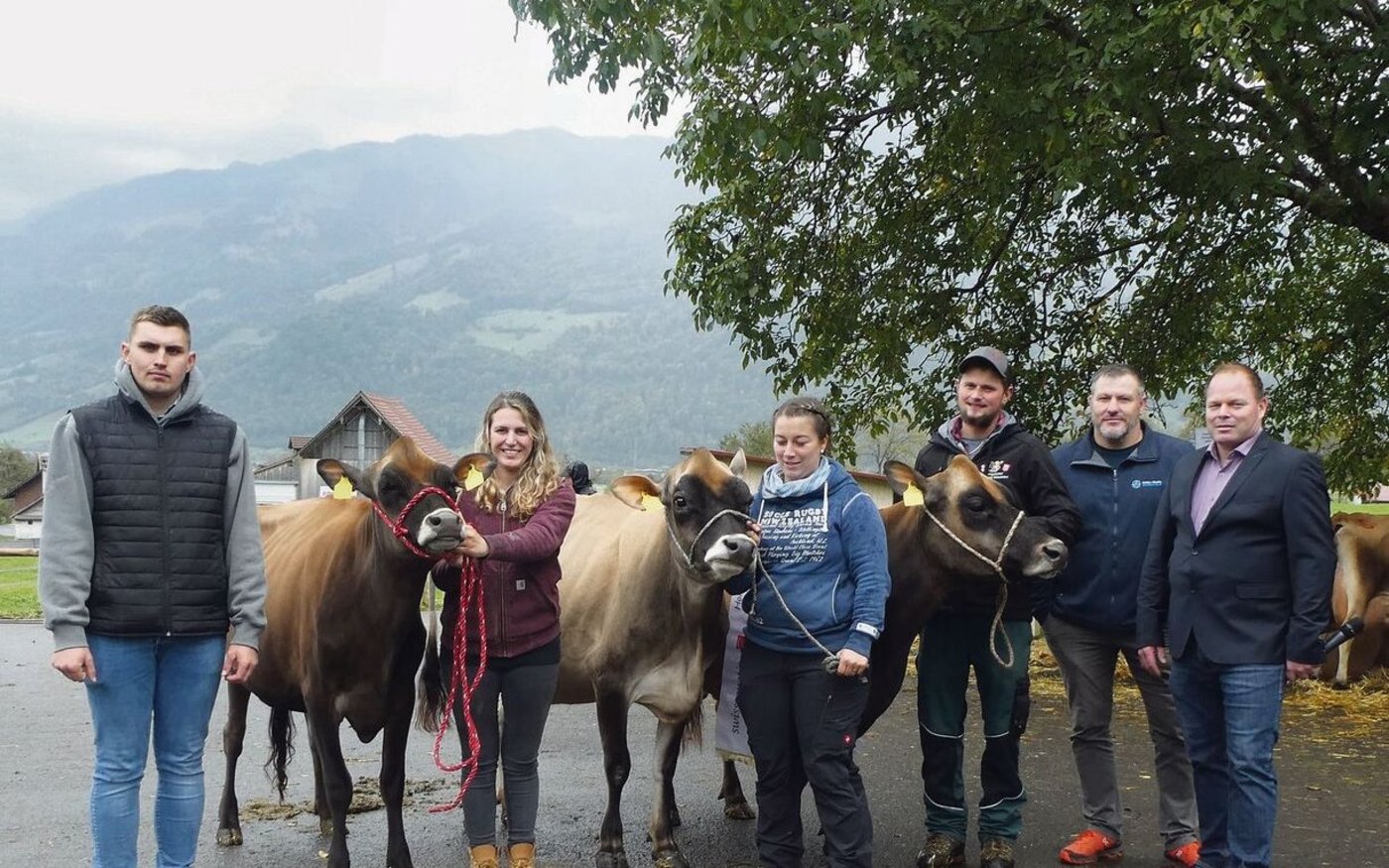 Die herrlichen Jersey-Sieger-Tiere mit den Besitzern, Experten und Ringman.