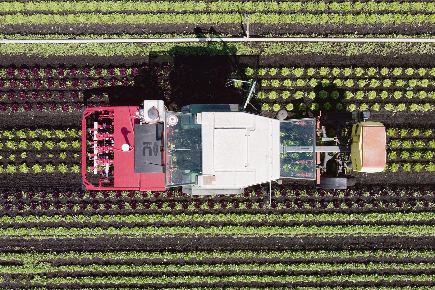 Pflanzenschutzroboter mit reduziertem PSM-Bedarf im Einsatz: Syngenta und FiBL haben unterschiedliche Trägerschaften und Motivationen. Die Ziele unterscheiden sich aber nur zum Teil. Beide Institutionen streben eine Weiterentwicklung der Landwirtschaft an. (Bild Keystone)
