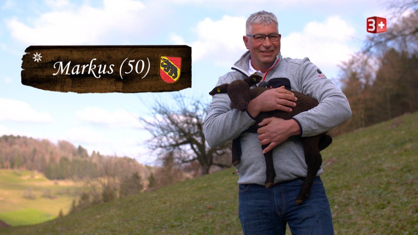 Mit einer Sauna, einem Whirlpool und einem Aussenpool im Garten kann Markus sicher punkten. (Bild 3+)
