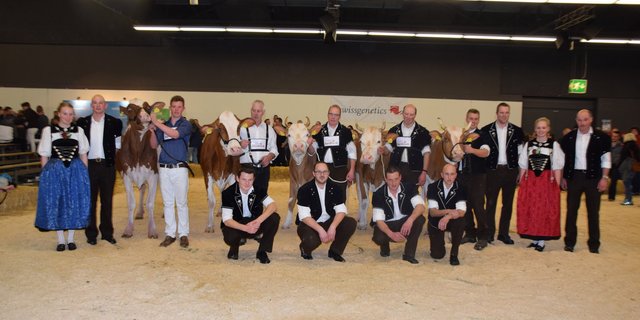 Die Siegertiere der älteren Klassen (v. l. n. r.). Siegerin Red Holstein: Mattenhof Armani Sayuri, Gobeli Holstein, Saanen; RH-Schöneutersiegerin: Cyrano Dafnee, Anton Ryter, Kandergrund; Simmentaler-Champion: Clemens Wachtel, Hansueli Brügger, Frutigen; Simmentaler-Schöneuter: Unic Linda, Martin Schärz, Hondrich und die Swiss Fleckvieh-Siegerkuh PerrenSenggi Pierolet Suleika von Urs und Andrea Perren, St. Stephan.