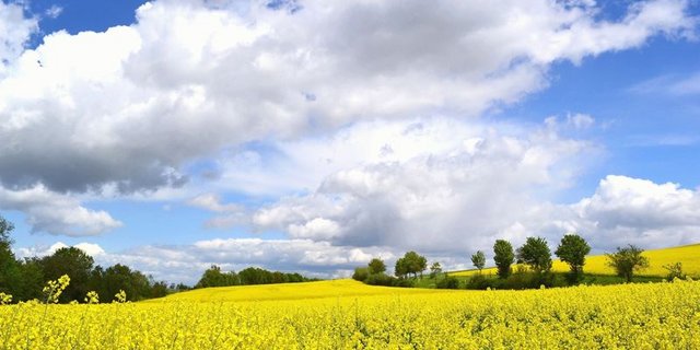 Den Besonderheiten der Landwirtschaft soll Rechnung getragen werden. (Bild: pixelio)