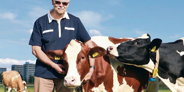 Kühe wird es im Leben von Ueli Wolleb auch nach der Pensionierung geben, unter anderem auf dem Betrieb seines Bruders, wo er regelmässig mitarbeitet.