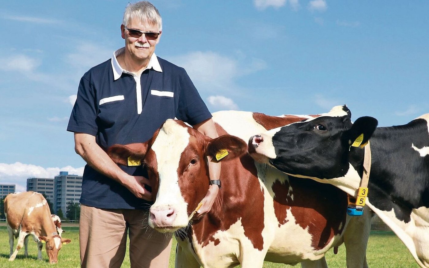 Kühe wird es im Leben von Ueli Wolleb auch nach der Pensionierung geben, unter anderem auf dem Betrieb seines Bruders, wo er regelmässig mitarbeitet.