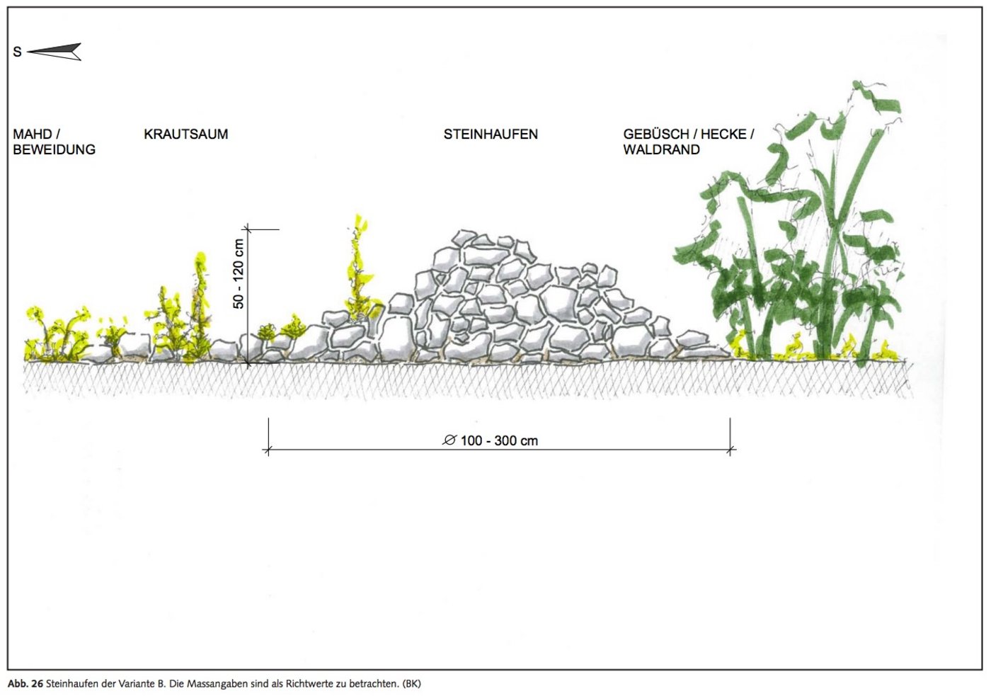 Die einfachste Variante eines Steinhaufens. Sträucher sollten nur auf der Nordseite stehen gelassen werden, damit der Haufen nicht beschattet wird. (Bild Karch)