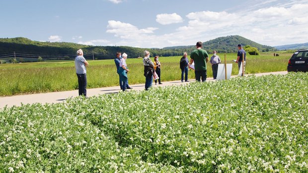 Am Rand eines Ackers mit Konservenerbsen erhielten die Teilnehmer des Feldrundgangs einen umfassenden Einblick über die Pflege dieser anspruchsvollen Kultur.(Bild Roland Müller)