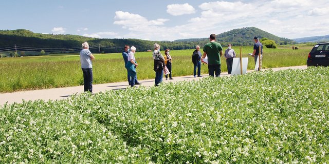 Am Rand eines Ackers mit Konservenerbsen erhielten die Teilnehmer des Feldrundgangs einen umfassenden Einblick über die Pflege dieser anspruchsvollen Kultur.(Bild Roland Müller)
