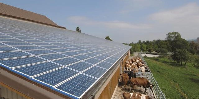 Ganzflächige Photovoltaik-Anlagen auf landwirtschaftlichen Betrieben sollen die Schweiz der Energiewende einen Schritt näher bringen. Das Bild von einem Betrieb in Barberêche FR zeigt, wie dies aussehen könnte. (Bild Solar Agentur Schweiz, Schweizer Solarpreis 2006)
