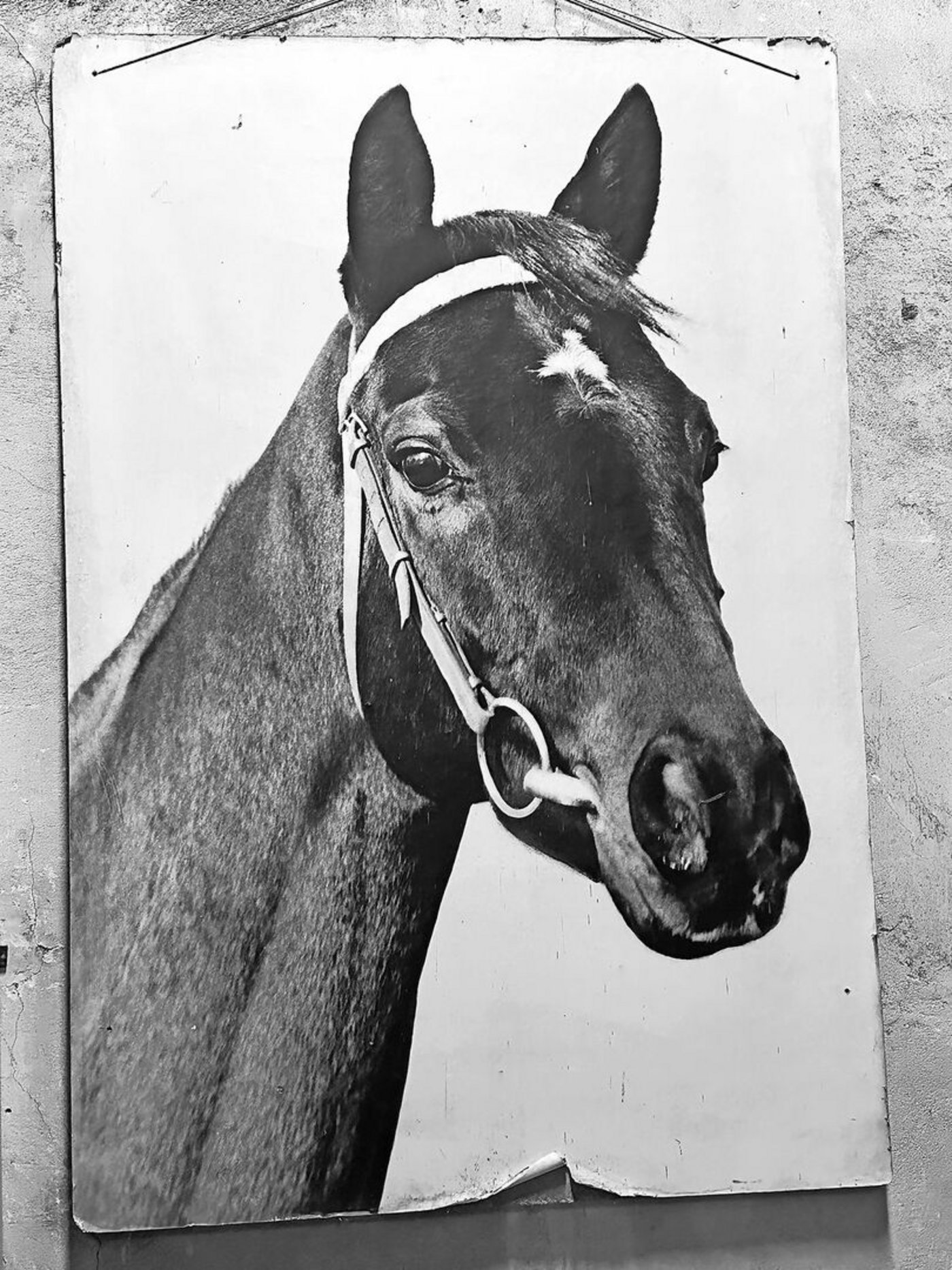 Legende bis zu Zweizeilig möglich Legende Legende Legende Legende Legende Legende Legende Legende Legende Legende Legende